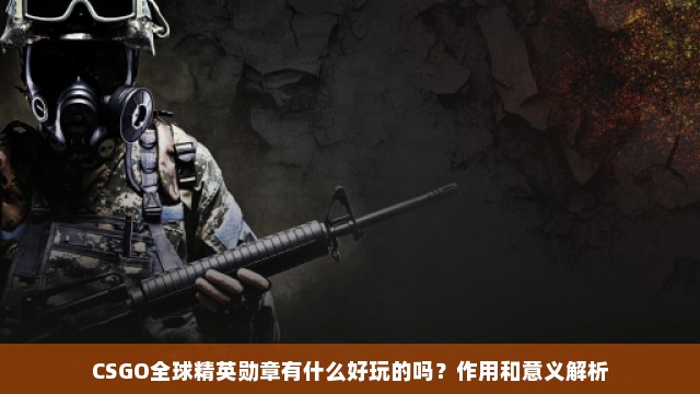 CSGO全球精英勋章有什么好玩的吗？作用和意义解析