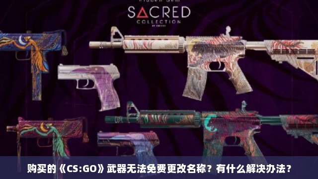 购买的《CS:GO》武器无法免费更改名称？有什么解决办法？