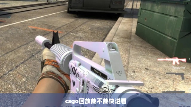 csgo回放能不能快进看