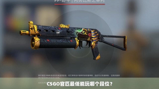 CSGO官匹最低能玩哪个段位？