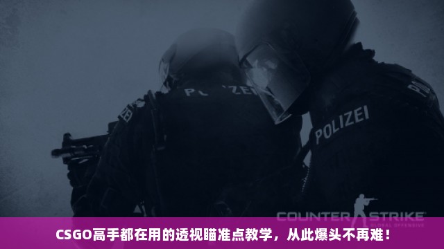 CSGO高手都在用的透视瞄准点教学，从此爆头不再难！