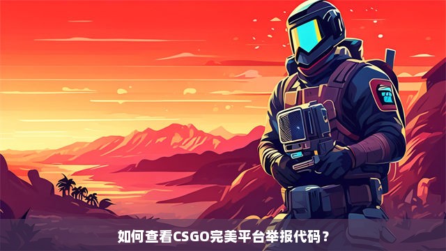 如何查看CSGO完美平台举报代码？