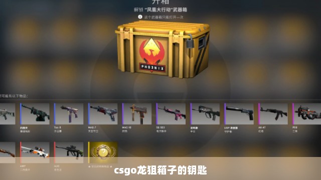 csgo龙狙箱子的钥匙