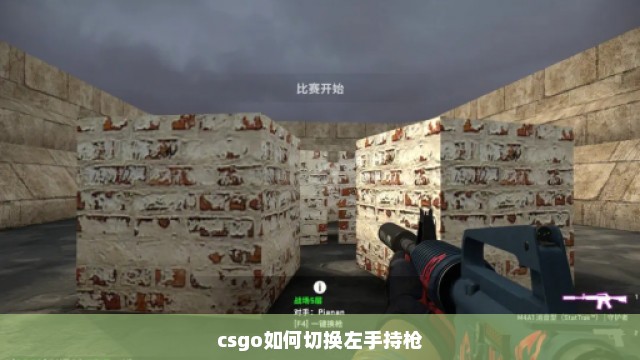 csgo如何切换左手持枪