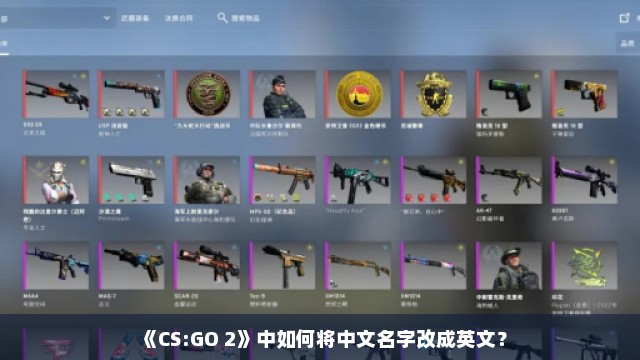 《CS:GO 2》中如何将中文名字改成英文？