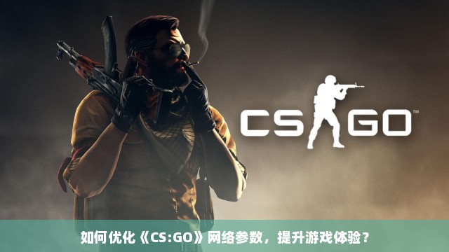 如何优化《CS:GO》网络参数，提升游戏体验？