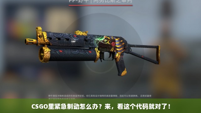 CSGO里紧急制动怎么办？来，看这个代码就对了！