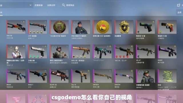 csgodemo怎么看你自己的视角