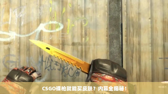 CSGO裸枪就能买皮肤？内幕全揭秘！