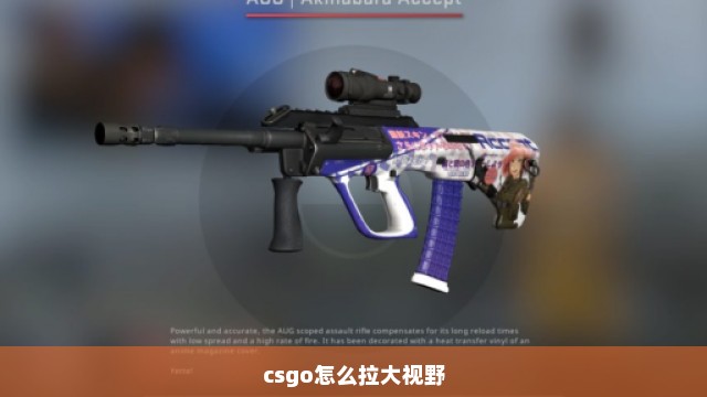 csgo怎么拉大视野