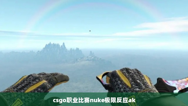 csgo职业比赛nuke极限反应ak