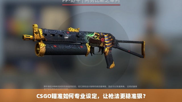 CSGO瞄准如何专业设定，让枪法更稳准狠？