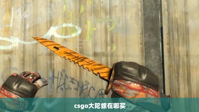 csgo大陀螺在哪买