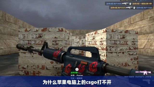 为什么苹果电脑上的csgo打不开