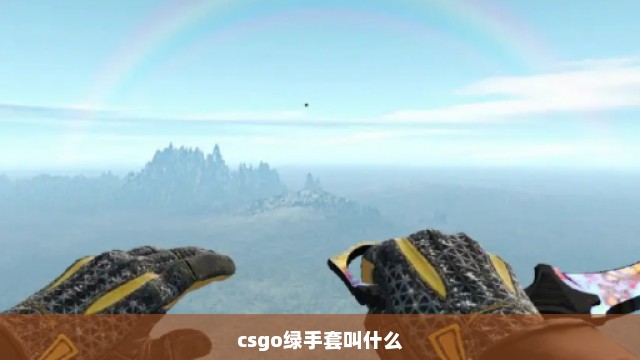 csgo绿手套叫什么