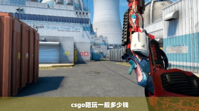 csgo陪玩一般多少钱