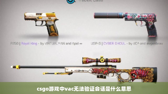 csgo游戏中vac无法验证会话是什么意思