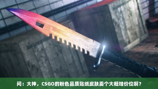 问：大神，CSGO的粉色品质贴纸皮肤卖个大概啥价位啊？