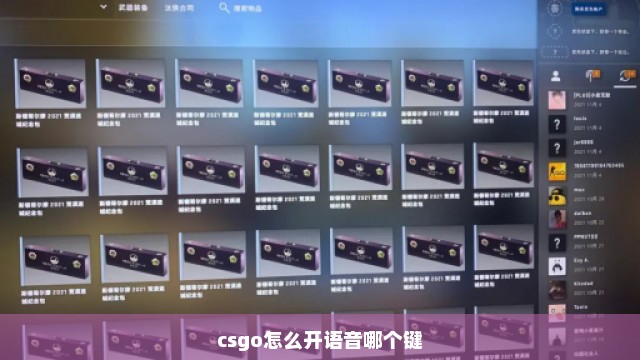 csgo怎么开语音哪个键