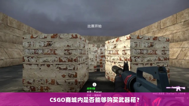 CSGO商城内是否能够购买武器箱？