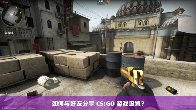 如何与好友分享 CS:GO 游戏设置？