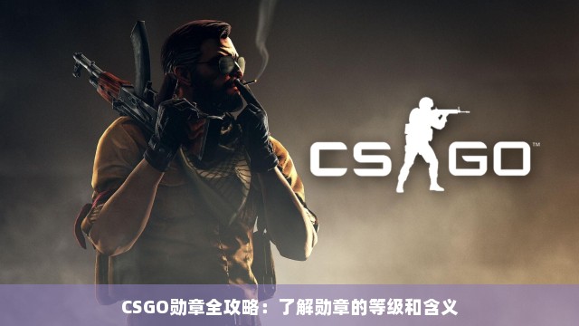 CSGO勋章全攻略：了解勋章的等级和含义