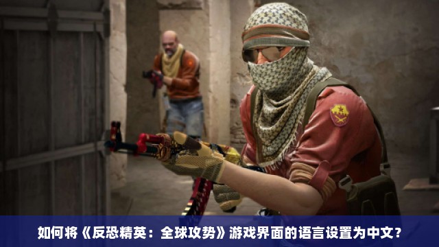 如何将《反恐精英：全球攻势》游戏界面的语言设置为中文？