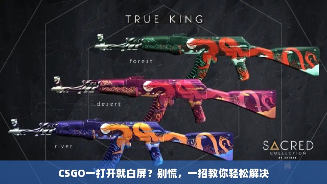 CSGO一打开就白屏？别慌，一招教你轻松解决