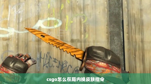 csgo怎么在局内换皮肤指令