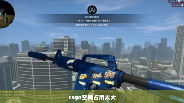 csgo空间占用太大