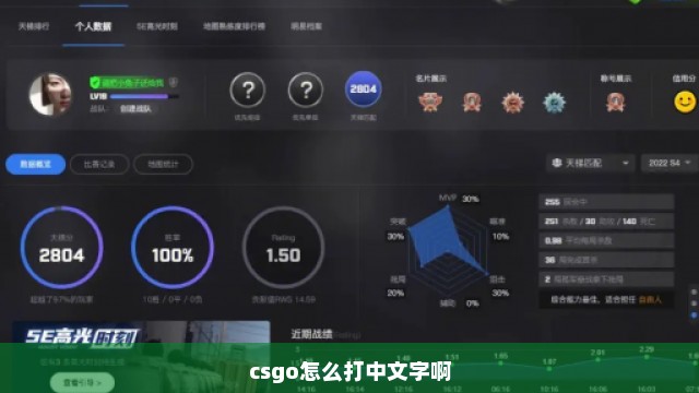 csgo怎么打中文字啊