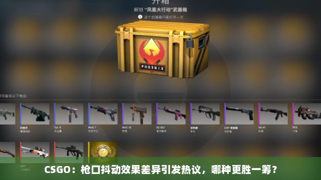 CSGO：枪口抖动效果差异引发热议，哪种更胜一筹？