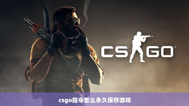 csgo指令怎么永久保存游戏