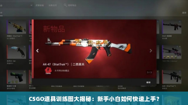 CSGO道具训练图大揭秘：新手小白如何快速上手？