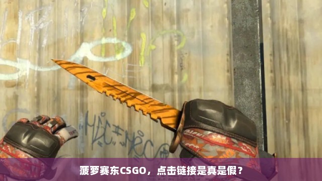 菠萝赛东CSGO，点击链接是真是假？