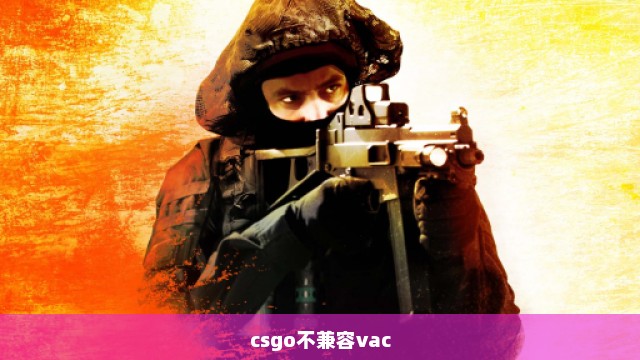 csgo不兼容vac