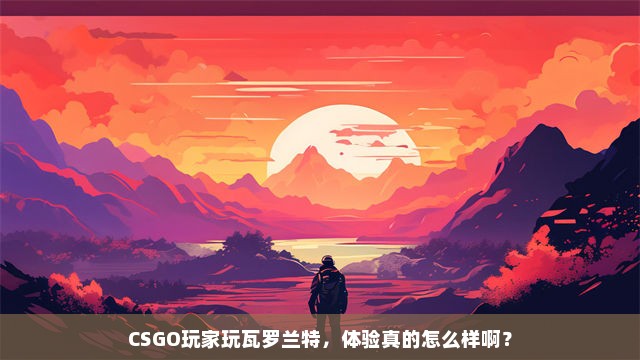 CSGO玩家玩瓦罗兰特，体验真的怎么样啊？