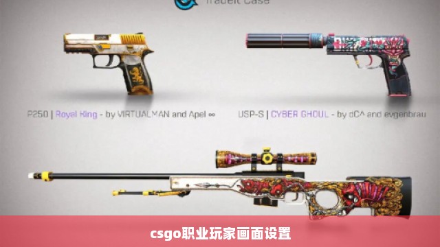 csgo职业玩家画面设置