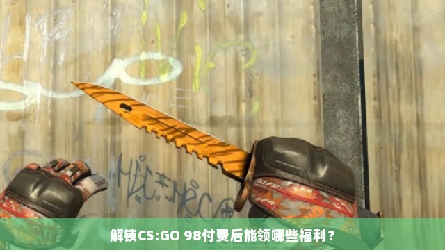 解锁CS:GO 98付费后能领哪些福利？