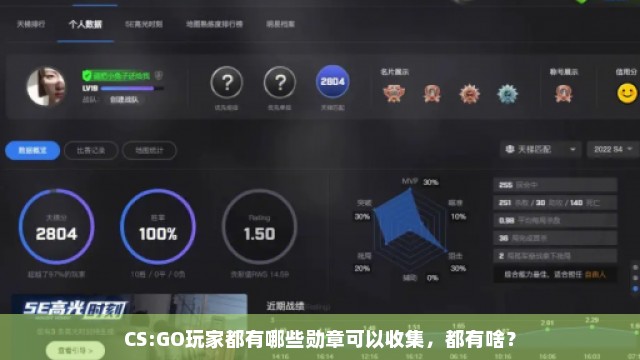 CS:GO玩家都有哪些勋章可以收集，都有啥？