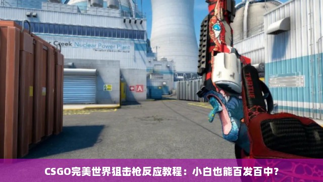 CSGO完美世界狙击枪反应教程：小白也能百发百中？