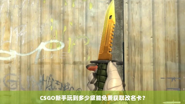 CSGO新手玩到多少级能免费获取改名卡？