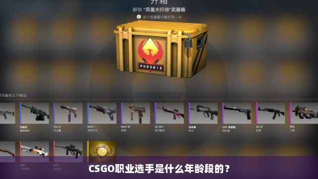 CSGO职业选手是什么年龄段的？