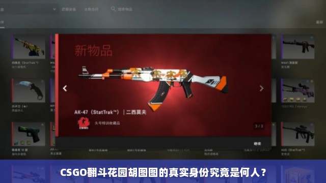 CSGO翻斗花园胡图图的真实身份究竟是何人？