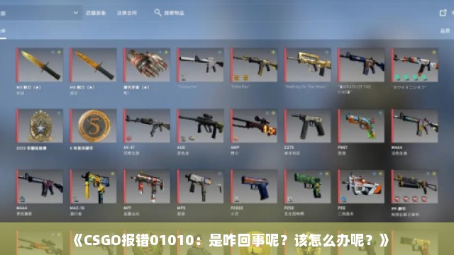 《CSGO报错01010：是咋回事呢？该怎么办呢？》