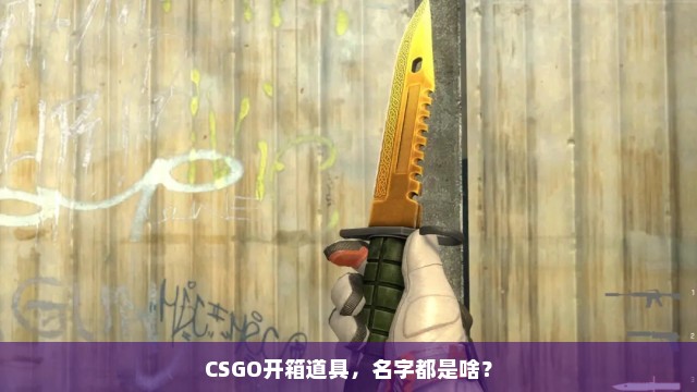 CSGO开箱道具，名字都是啥？