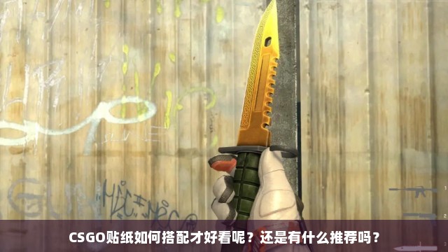 CSGO贴纸如何搭配才好看呢？还是有什么推荐吗？