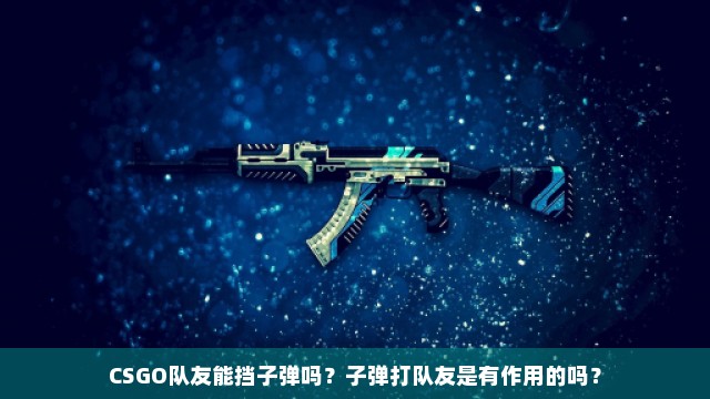 CSGO队友能挡子弹吗？子弹打队友是有作用的吗？