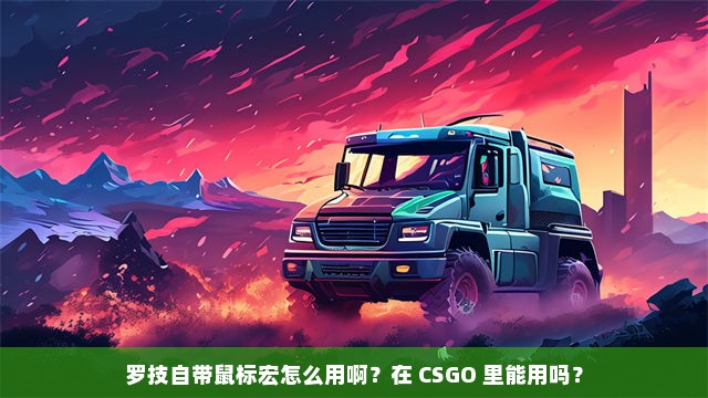 罗技自带鼠标宏怎么用啊？在 CSGO 里能用吗？