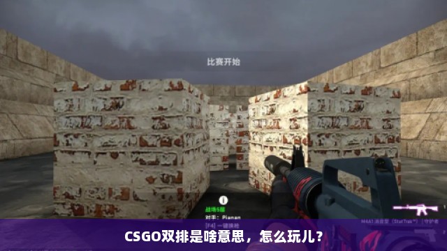 CSGO双排是啥意思，怎么玩儿？